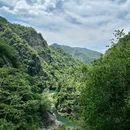 陈维铭家庭农场 - 温州市旅游 缩略图 4
