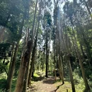 陈维铭家庭农场 - 温州市旅游 缩略图 7