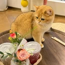 OYO·品尚公寓(翔安火炬高新区店) - 厦门市旅游 缩略图 3