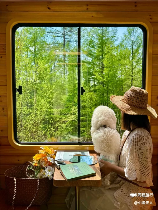 莫尔道嘎国家森林公园 - 呼伦贝尔市旅游