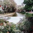 永庆坊 - 广州市旅游 缩略图 3