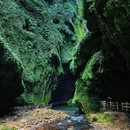通灵大峡谷景区 - 百色市旅游 缩略图 7