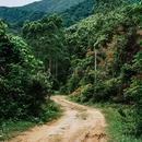 八排山 - 云浮市旅游 缩略图 9
