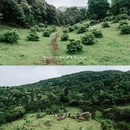 八排山 - 云浮市旅游 缩略图 8