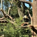 九寨沟景区 - 阿坝藏族羌族自治州旅游 缩略图 8