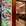 佛山市·万科缤纷四季(南区)