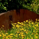 雁南公园 - 西安市旅游 缩略图 5