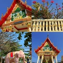 泰国 - 海外旅游 缩略图 5