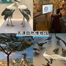 北京园博园 - 北京市旅游 缩略图 9