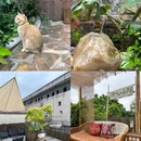 恒福国际商业中心 - 佛山市旅游 缩略图 3