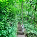 老峨山游客中心 - 眉山市旅游 缩略图 5
