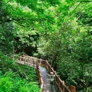 老峨山游客中心 - 眉山市旅游 缩略图 3