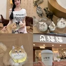 怂火锅厂(厦门SM三期店) - 厦门市旅游 缩略图 9