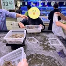嘉华国际商业中心 - 天津市旅游 缩略图 2