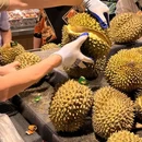 嘉华国际商业中心 - 天津市旅游 缩略图 5