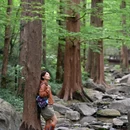 国家植物园北园 - 北京市旅游 缩略图 2