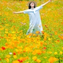汪家湾花海 - 成都市旅游 缩略图 9
