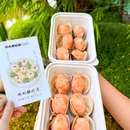 三亚半山半岛帆船港酒店 - 三亚市旅游 缩略图 9