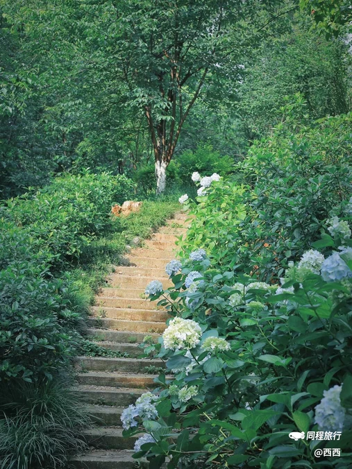 湖南省森林植物园 - 长沙市旅游