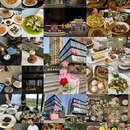 上海植物园 - 上海市旅游 缩略图 9
