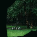 荔香公园 - 深圳市旅游 缩略图 1