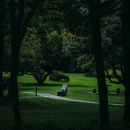 荔香公园 - 深圳市旅游 缩略图 5