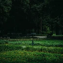 荔香公园 - 深圳市旅游 缩略图 4