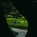 荔香公园 - 深圳市旅游 缩略图 9