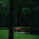 荔香公园 - 深圳市旅游 缩略图 8