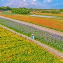 三台山森林公园-衲田景区 - 宿迁市旅游 缩略图 3