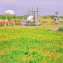 三台山森林公园-衲田景区 - 宿迁市旅游 缩略图 9