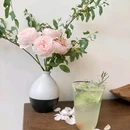 本如茶素 - 合肥市旅游 缩略图 2