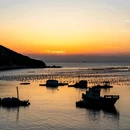 温州南麂岛 - 温州市旅游 缩略图 5