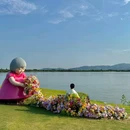 下渚湖国家湿地公园 - 湖州市旅游 缩略图 5