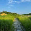下渚湖国家湿地公园 - 湖州市旅游 缩略图 9