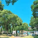 计家墩村 - 苏州市旅游 缩略图 4