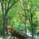 计家墩村 - 苏州市旅游 缩略图 6