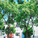 计家墩村 - 苏州市旅游 缩略图 9