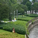 福海河公园 - 深圳市旅游 缩略图 6