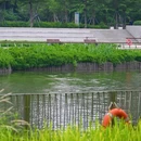 福海河公园 - 深圳市旅游 缩略图 8