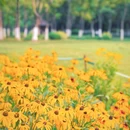 逍遥津公园 - 合肥市旅游 缩略图 4