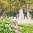 逍遥津公园 - 合肥市旅游 缩略图 5