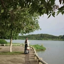 荔湖公园 - 广州市旅游 缩略图 5