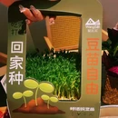 绿野仙踪 - 泉州市旅游 缩略图 7