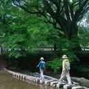 察关村 - 上饶市旅游 缩略图 5