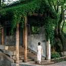 乌镇西栅景区 - 嘉兴市旅游 缩略图 8