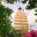 教场中路 - 昆明市旅游 缩略图 7