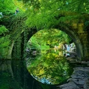 杭州西湖风景名胜区-曲院风荷 - 杭州市旅游 缩略图 1