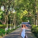 杭州西湖风景名胜区-曲院风荷 - 杭州市旅游 缩略图 9