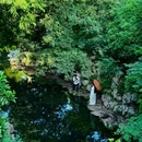 杭州西湖风景名胜区-曲院风荷 - 杭州市旅游 缩略图 6